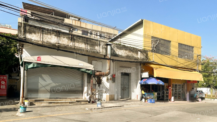 大良单家古鉴居委会外景图