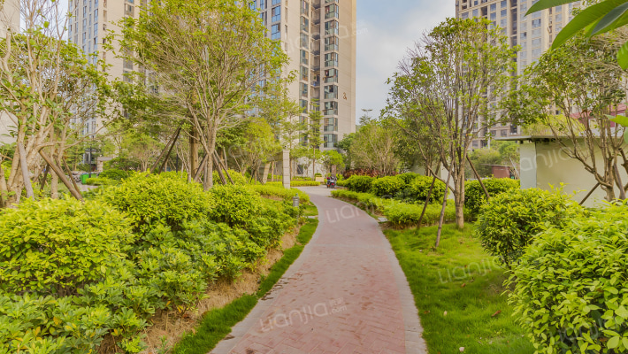 祥园新苑外景图