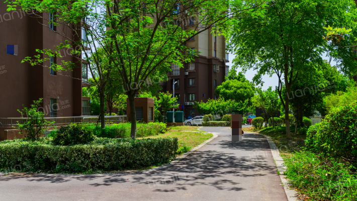 大桥家园外景图