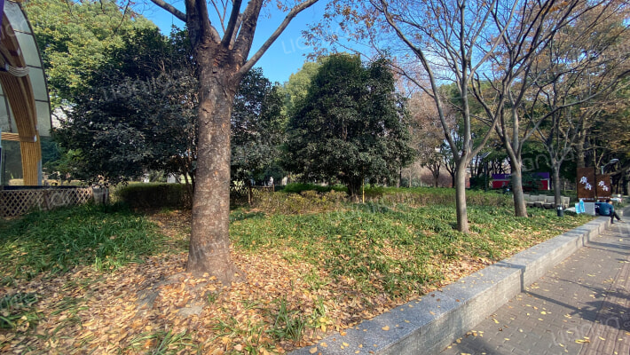 巨鹿路225弄外景图