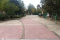 阳光花园户型图实景图