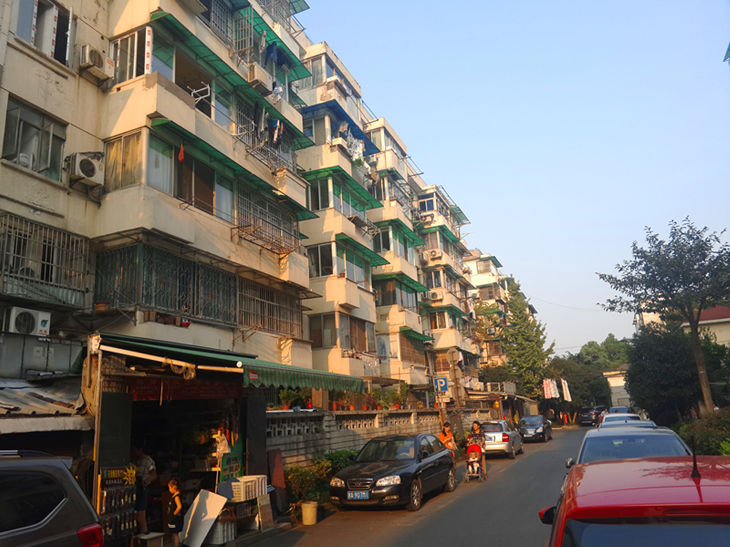 古荡新村东区小区实景 10