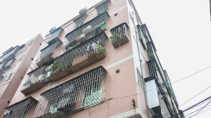 茶基细围仔外景图