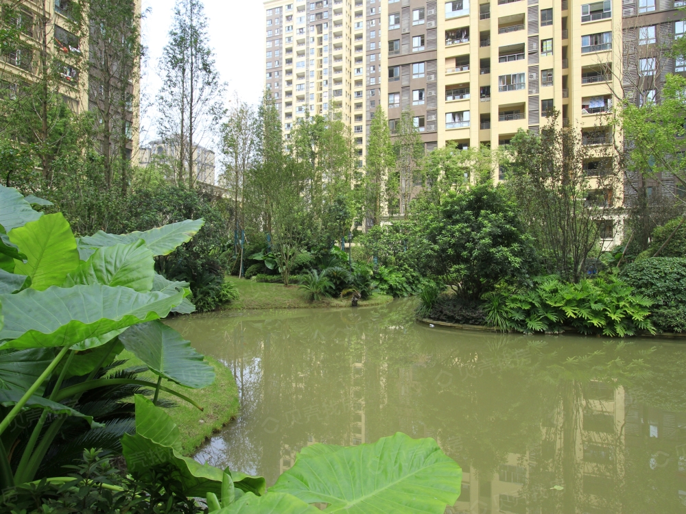 鸥鹏泊雅湾相册