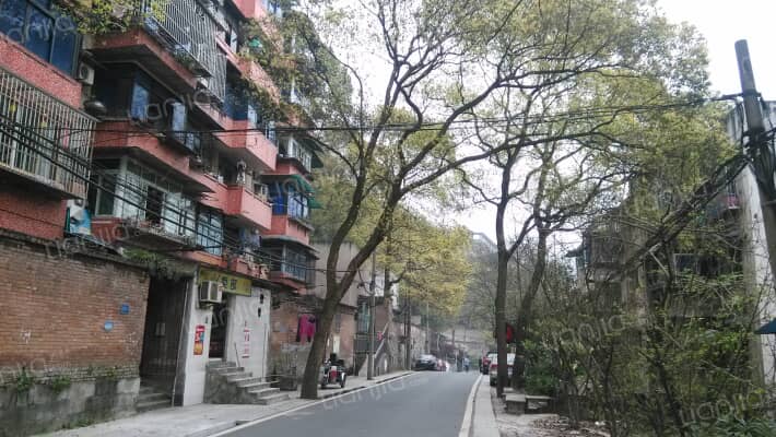 文丰段77号外景图