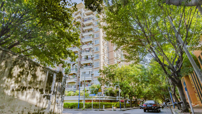 环市西路美华后街外景图