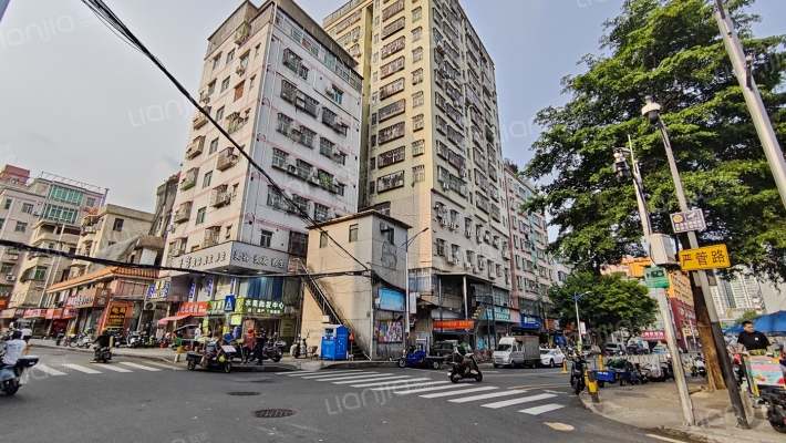 布吉李屋村外景图