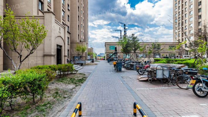 金色橄榄城外景图