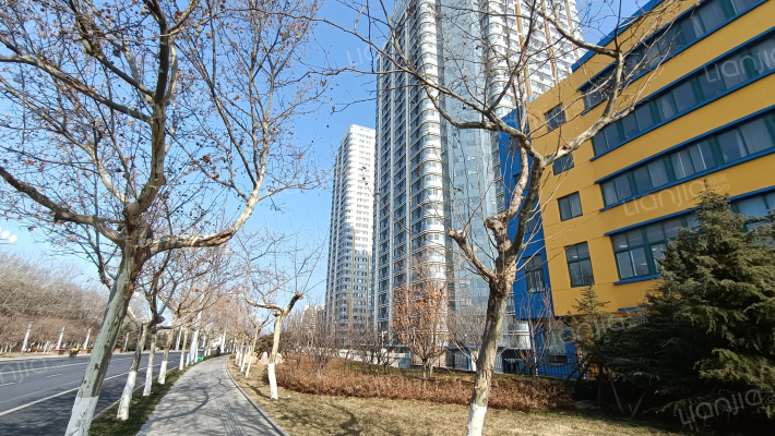 东方国际外景图