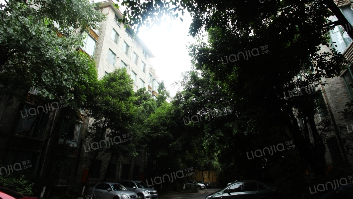 西区花园花园洋房外景图