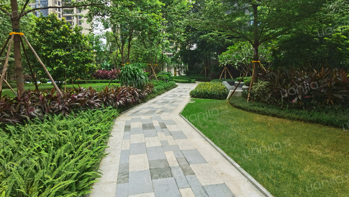 招商曦岸外景图