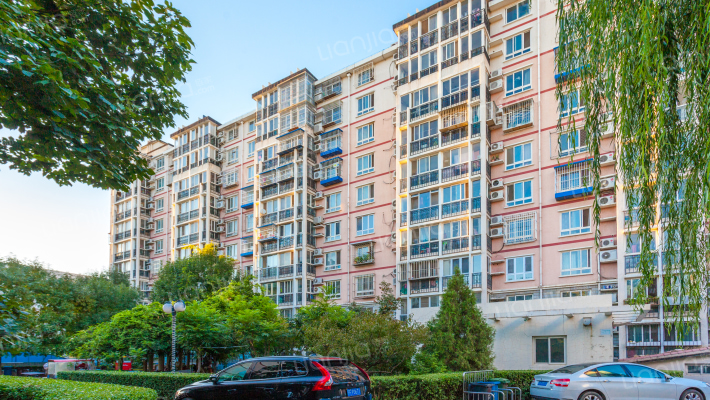 菊花盛苑外景图