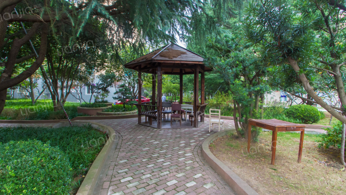 海棠新村外景图