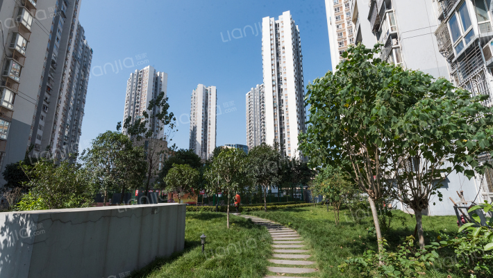 新华春天外景图