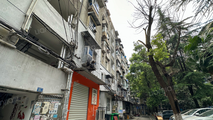 玫瑰园东村外景图