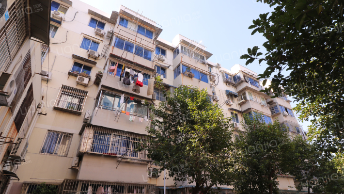 长营村98号外景图