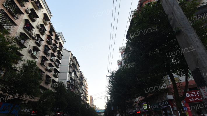 凯歌一支路外景图