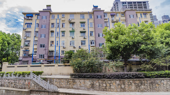 新模范马路外景图