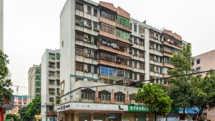 花都紫荆苑外景图