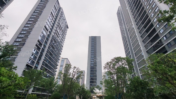 湖印光年府外景图