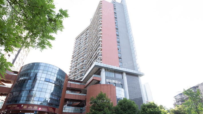 白果林银杏广场外景图