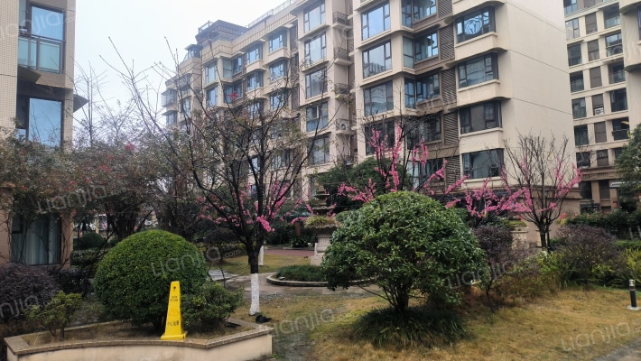 都江懿府外景图