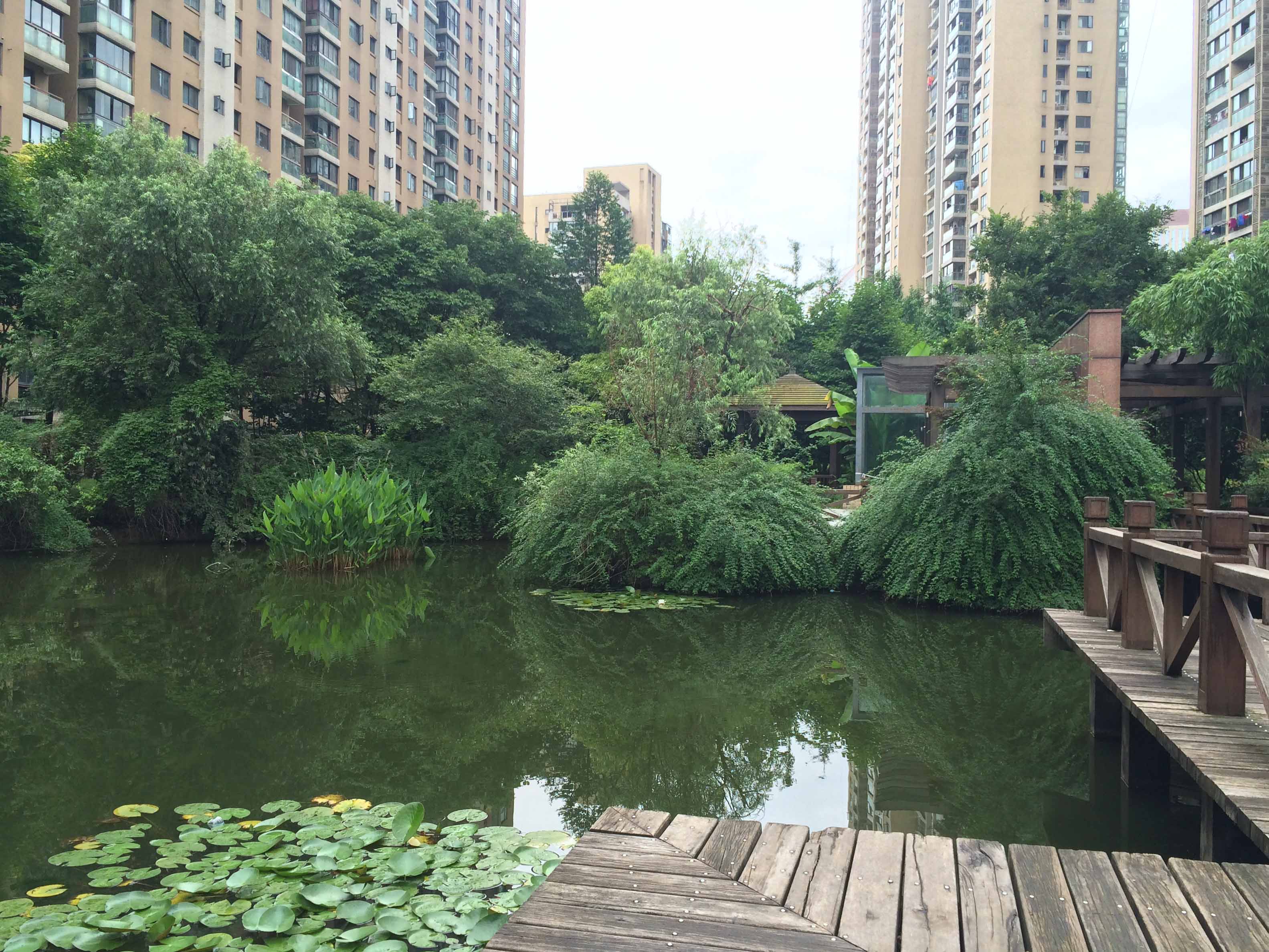 风雅钱塘小区实景 24