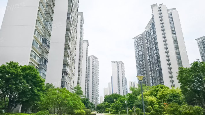 中海左岸岚庭外景图