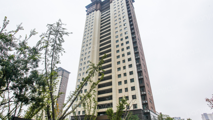 龙中金源外景图