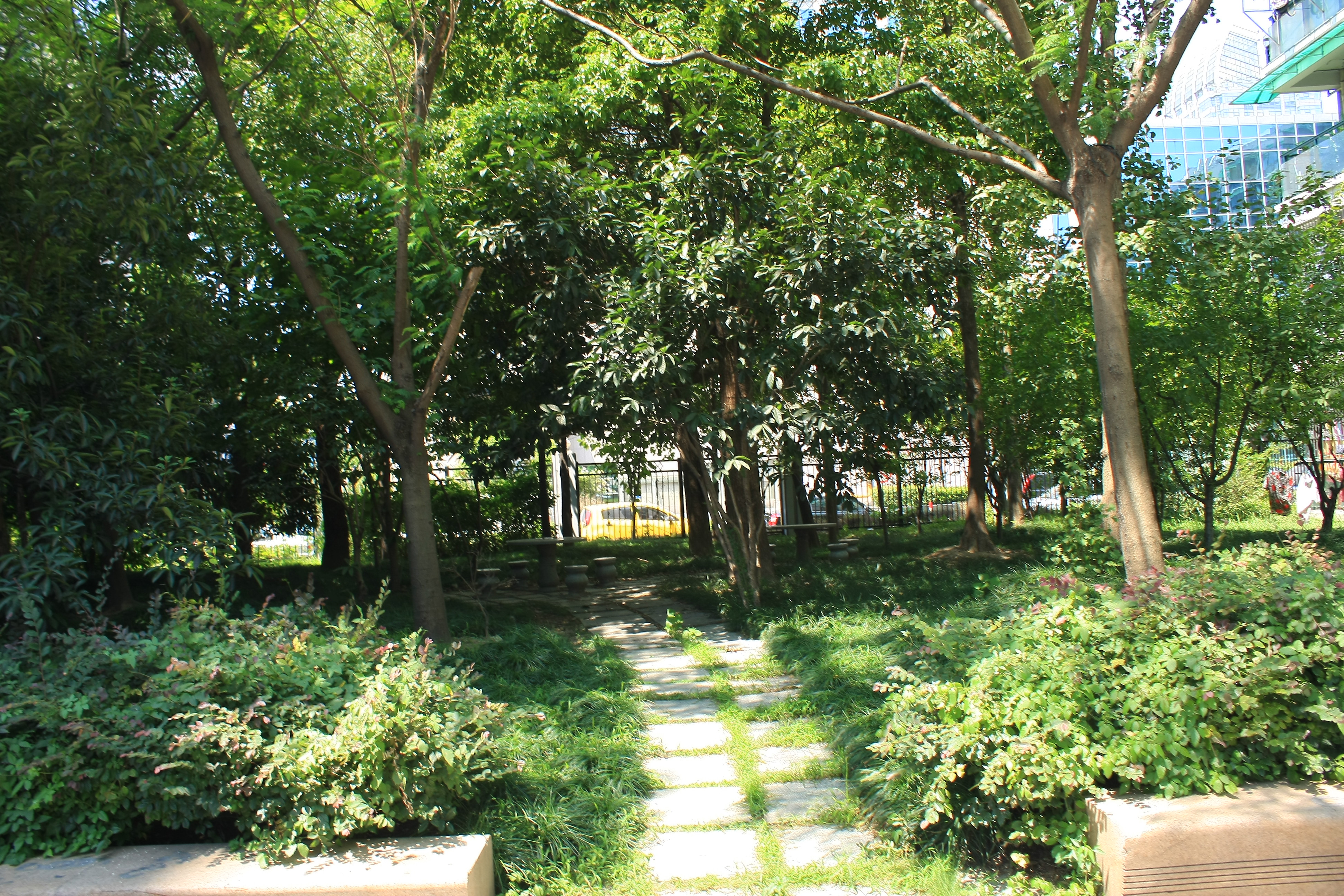 钱江六苑小区实景 15