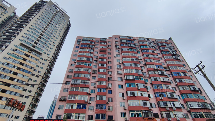 九中杏林街外景图