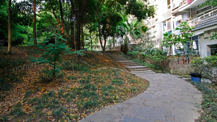 江畔华景外景图