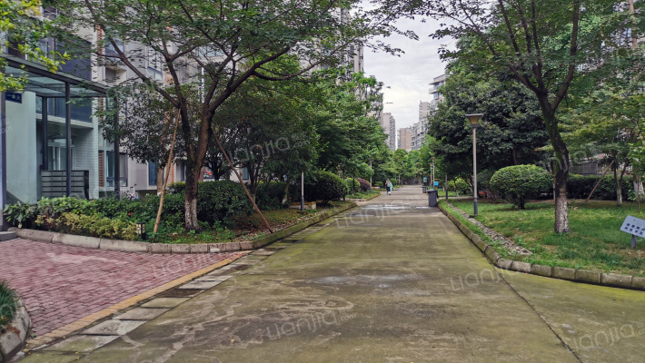 交大万嘉蓉杏园外景图