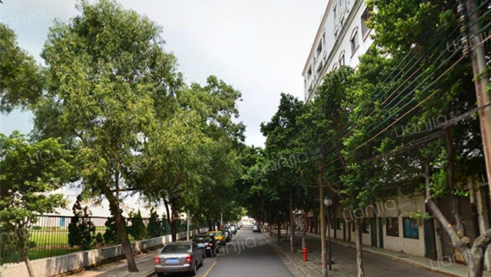 夏园西路外景图