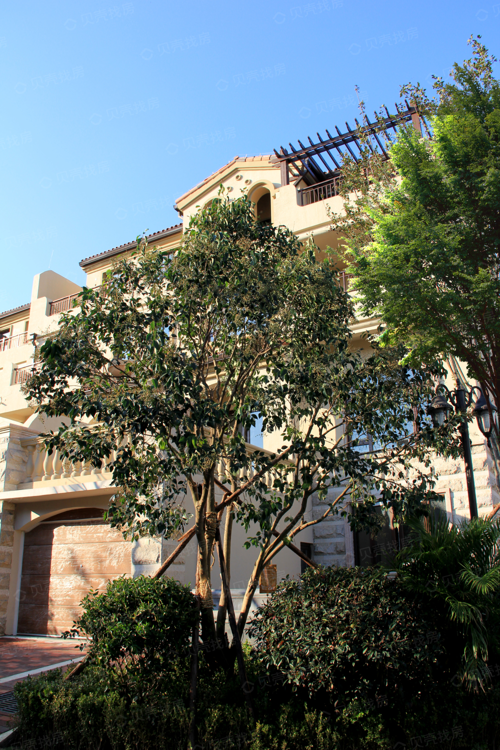 青岛中海玫瑰庭院相册