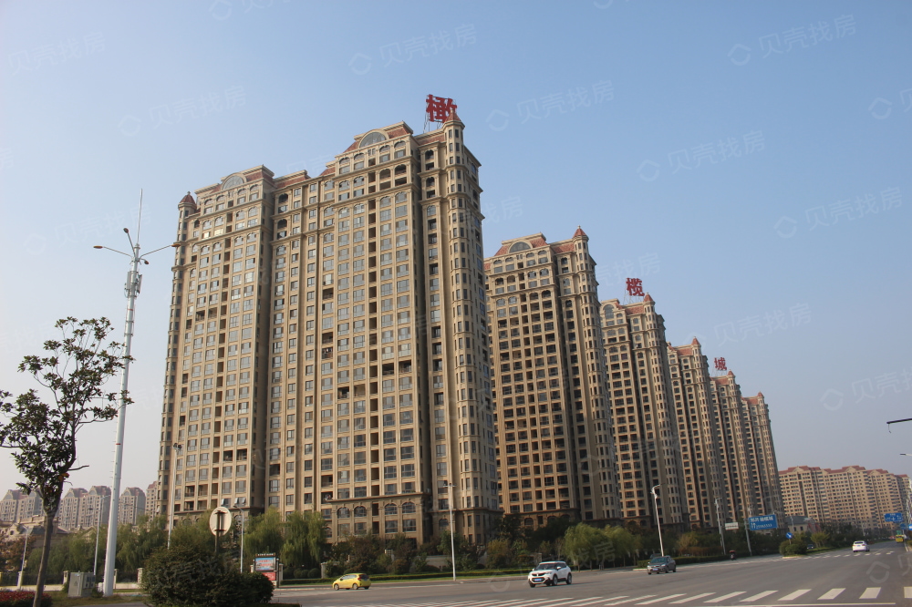 郑开橄榄城相册