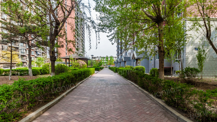 一品红城二期外景图