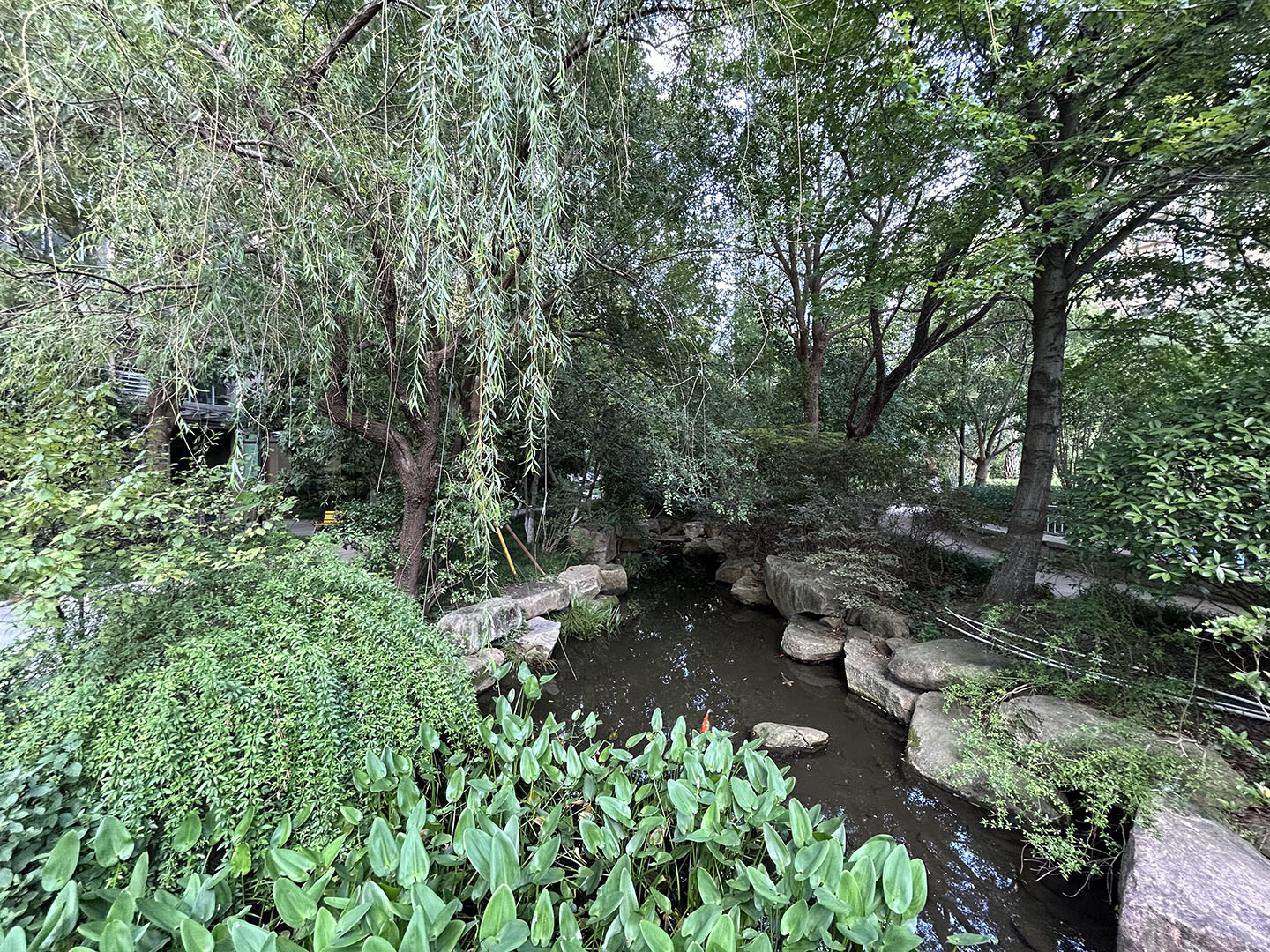 钱塘山水小区实景 17