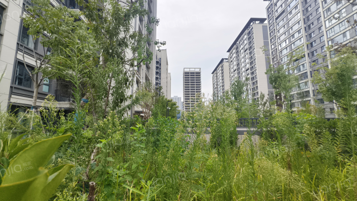 香江·翡翠天辰外景图