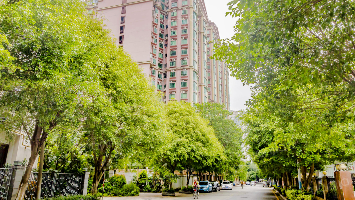 黄埔大道中外景图