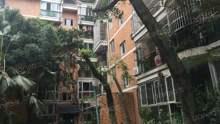 汇景新村(金牛)外景图