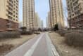 碧桂园太阳城户型图实景图