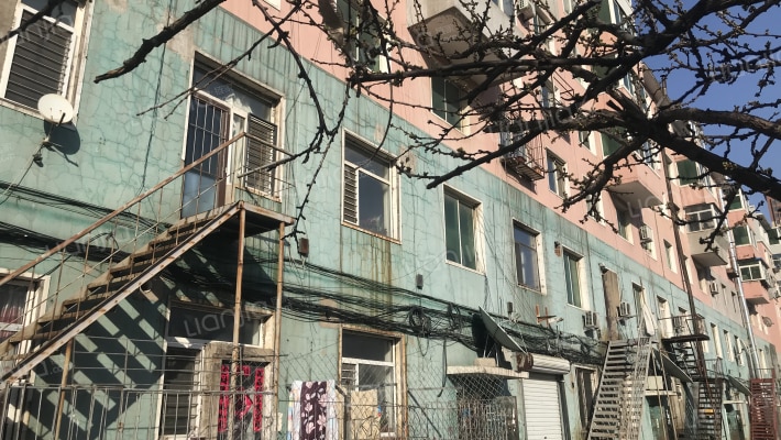 金钱松小区外景图