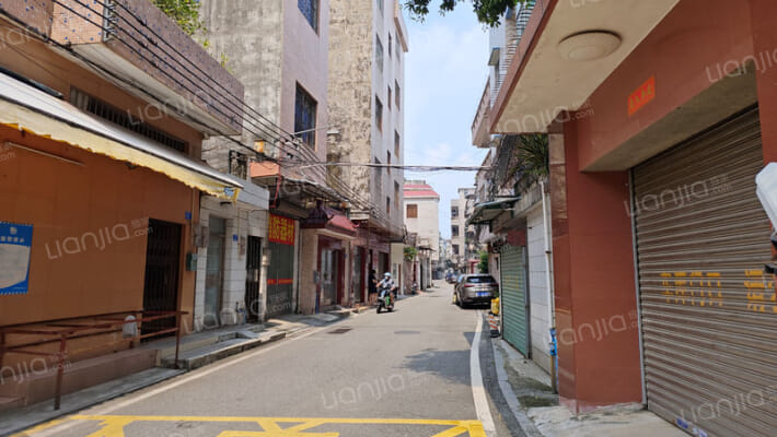 温家围村外景图