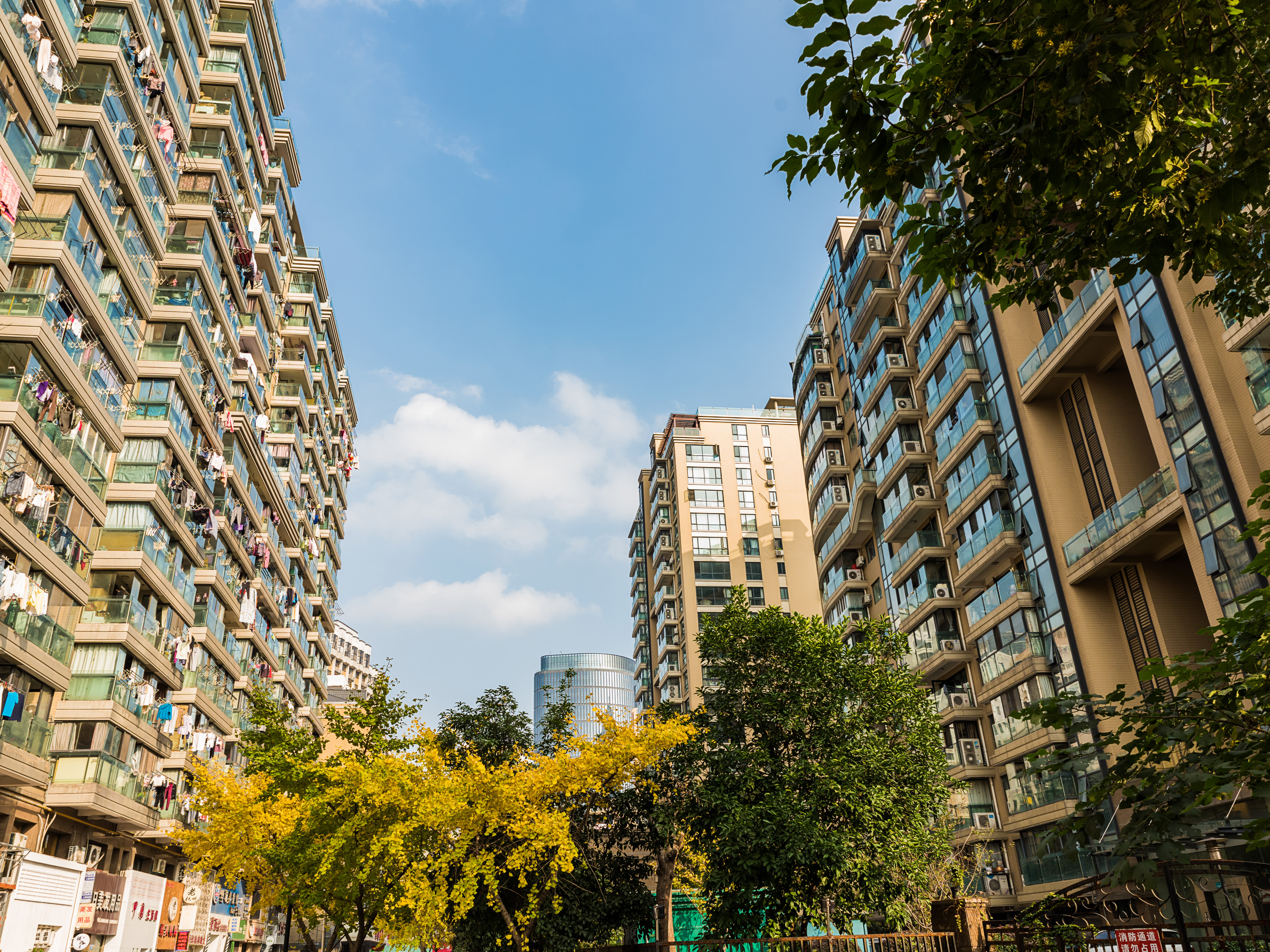 Xizi Mingyuan compound photo 17