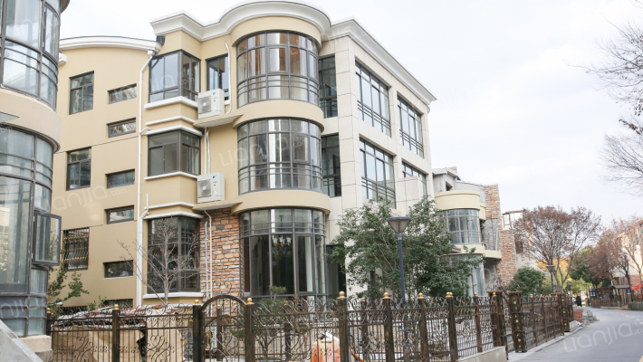 金色森林外景图