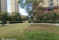 天宁▪首府户型图实景图