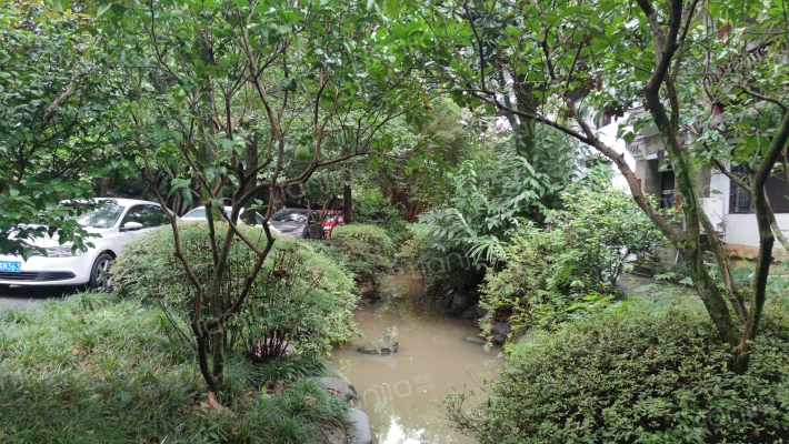 芙蓉古城云南区外景图