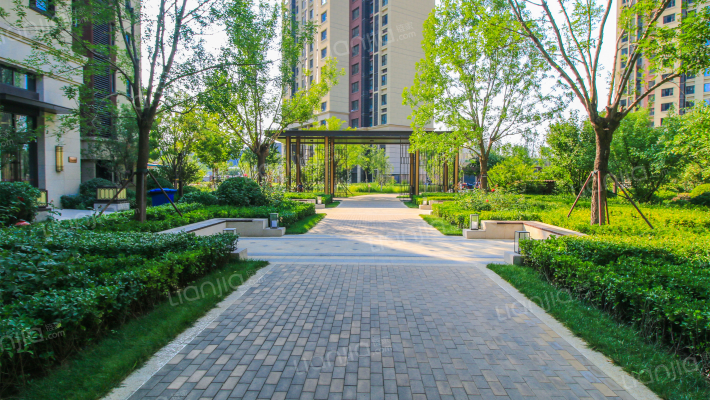 星河传奇西区外景图