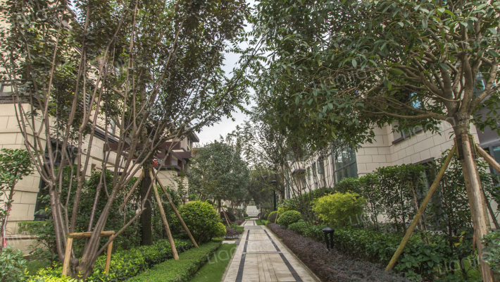 万科江上明月外景图